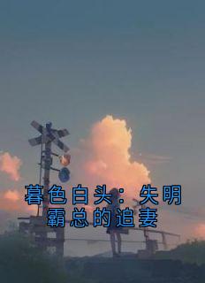 暮色白头：失明霸总的追妻
