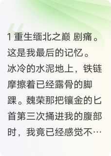 重生之血色缅北