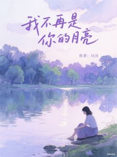 我不再是你的月亮