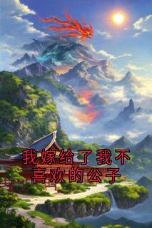 我嫁给了我不喜欢的公子
