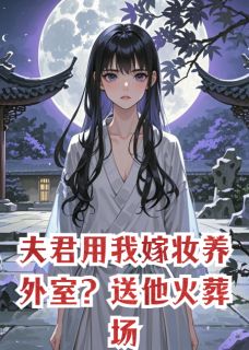 夫君用我嫁妆养外室？送他火葬场