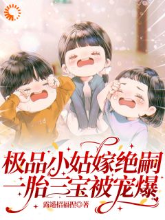 极品小姑嫁绝嗣，一胎三宝被宠爆