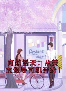 商战滔天：从美女领导司机开始！