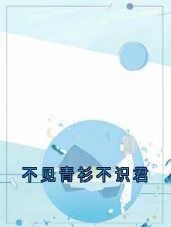 不见青衫不识君
