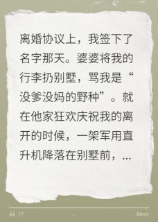 婆婆骂我野种时，军区飞机来接我