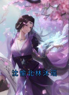 沈愉北林沐瑶