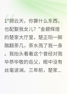 入赘千金被退婚后我登顶豪门