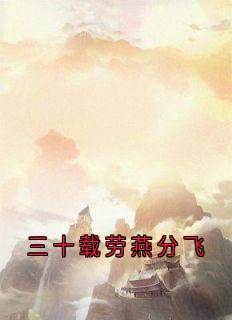 三十载劳燕分飞