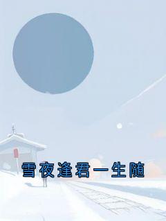 雪夜逢君一生随