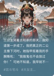 宫女顶替公主后，我杀疯了