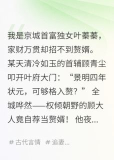 我招赘婿，首辅大人他送上门