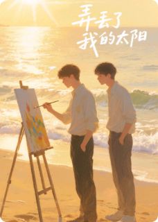 弄丢了我的太阳