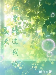 她曾路过我的夏天