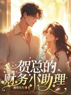 贺总的财务小助理