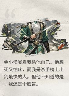 这个杀手不太中