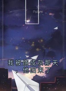 我被烧成灰那天，他回来了