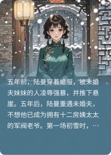 初雪，成了未婚夫第十三个姨太太