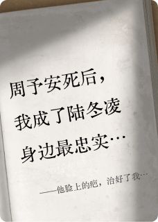 他脸上的疤，治好了我的替身瘾