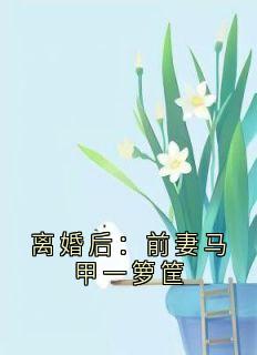 离婚后：前妻马甲一箩筐