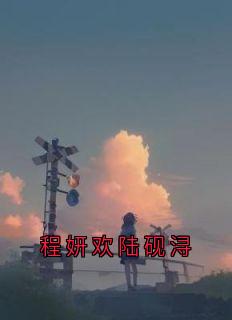 程妍欢陆砚浔