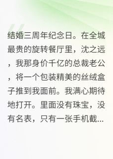 总裁的1.88元笔笔攒，我离婚了