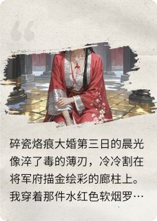 血色嫁衣，碎瓷烙痕