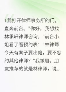 律师先生请帮我找个前夫