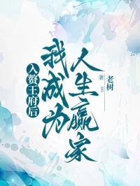 入赘王府后，我成为人生赢家