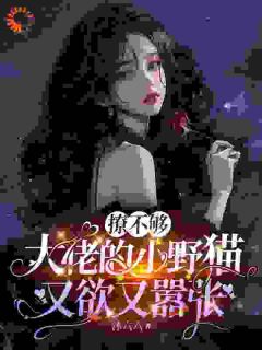 当替身？不，我是掀棋局的小野猫