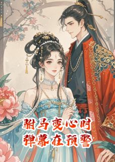 驸马变心时，弹幕在预警