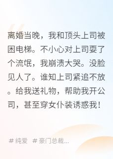 离婚后对顶头上司耍流氓被缠上了