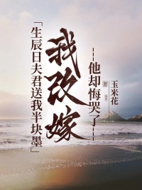 生辰日夫君送我半块墨，我改嫁他却悔哭了