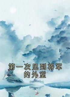 第一次见到将军的外室