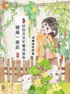 破庙一夜后，奸臣天天忙着洗尿布