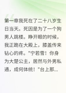 长公主的军火生意