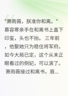 侧妃和离后，皇子跪求三年