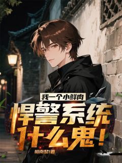 我一个小鲜肉，悍警系统什么鬼！