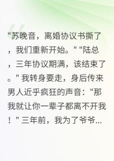 协议三年期满，总裁砸千万不离婚
