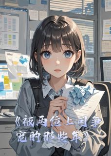 被两位上司争宠的那些年