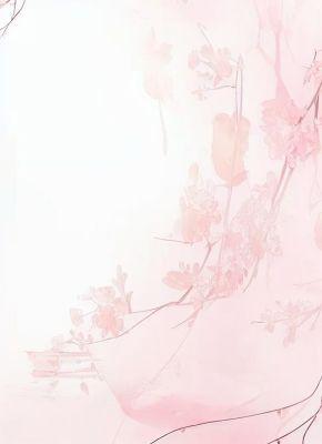 驸马他真不是女扮男装