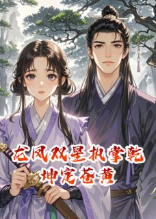 龙凤双星执掌乾坤定苍黄