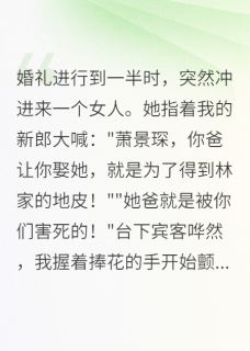 我的新郎，竟是杀父凶手的儿子