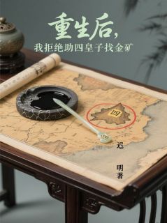 重生后，我拒绝助四皇子找金矿