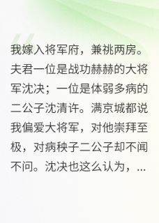 嫁两夫，将军纳妾后我送他点天灯