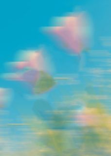 消失的我，哭泣的她