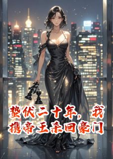 蛰伏二十年，我携帝王杀回豪门