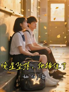 晚星坠落，他接住了