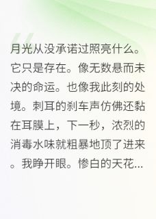 穿成炮灰女配，我抢了女主气运