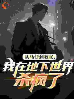 从马仔到教父，我在地下世界杀疯了