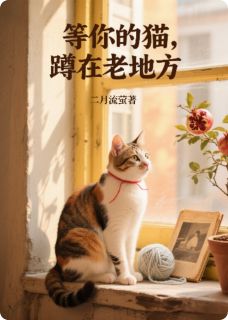 等你的猫，蹲在老地方